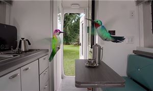 Calabash helps Airstream promote new Nest trailer online