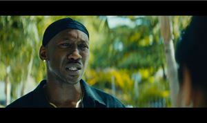 Coloring 'Best Picture' winner <i>Moonlight</i>