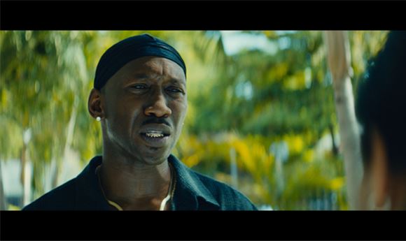 Coloring 'Best Picture' winner <i>Moonlight</i>