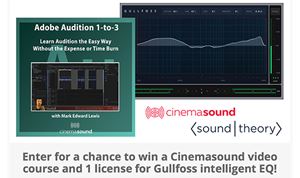 Soundtheory & Cinemasound partner on contest