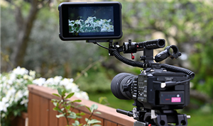 Atomos competition encourages creative wildlife cinematography