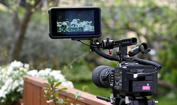 Atomos competition encourages creative wildlife cinematography