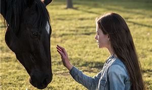 Soundtrack: Scoring Disney+'s <I>Black Beauty</I>