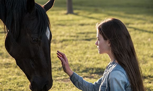 Soundtrack: Scoring Disney+'s <I>Black Beauty</I>