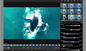 Luma Touch adds pro features to iOS editing app