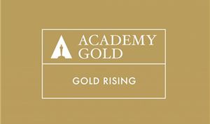 100 interns participating in Academy's 'Gold Rising' mentorship program