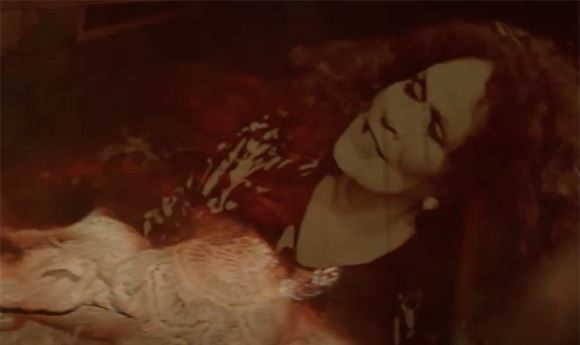 Music Video: Karen Black — <I>Royal Jelly</I>