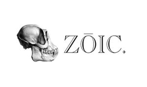 Zoic Studios announces employees can work from home indefinitely