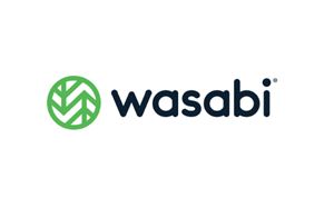 Wasabi acquisition will enable AI-powered storage