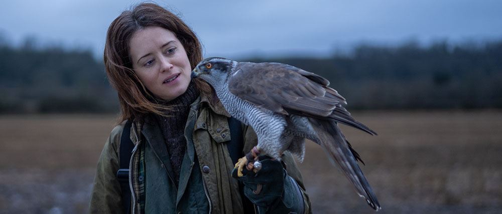 <I>H is for Hawk</I>