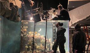 <I>Remarkably Bright Creatures</I>: Director of photography Ashley Connor