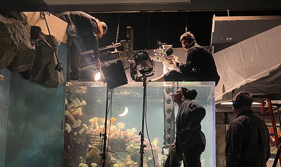 <I>Remarkably Bright Creatures</I>: Director of photography Ashley Connor