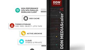 DDN delivers high-performance media workflow storage platform