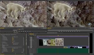 NAB 2014: Adobe updates Creative Cloud apps