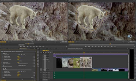 NAB 2014: Adobe updates Creative Cloud apps