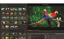 Blackmagic helps with broadcast monitoring in FCP X 10.0.3