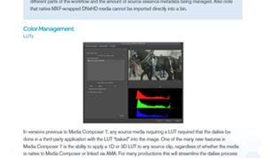 White Paper: Avid workflow for digital cinema cameras