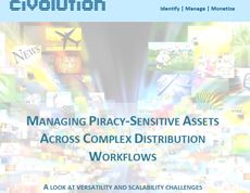 White Paper: Managing piracy-sensitive assets