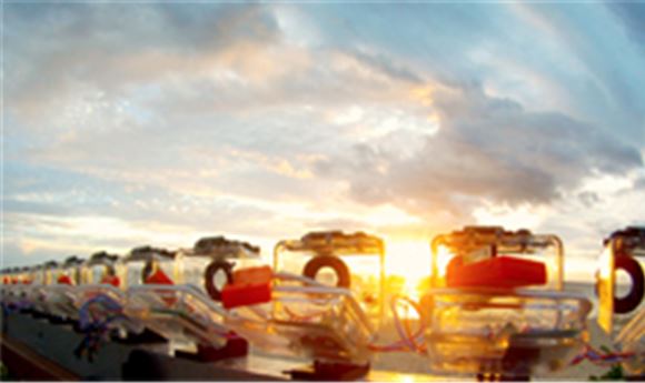Rip Curl campaign uses 48-GoPro array