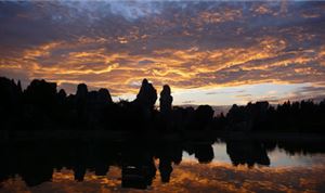 'The Stone Forest' shot on 5D