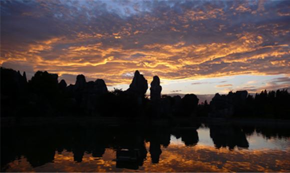 'The Stone Forest' shot on 5D