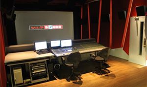 International studios tap WSDG's design expertise