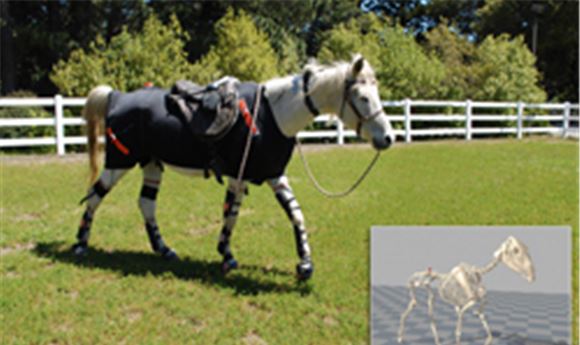 Xsens mo-cap prototype records free-moving horse