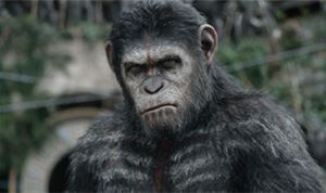 Director's Chair: Matt Reeves - 'Dawn of the Planet of the Apes'