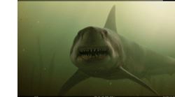 VFX: 'Shark Nights 3D'