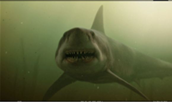 VFX: 'Shark Nights 3D'