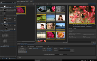 A dark-themed photo editing software interface showing a grid of various colorful images and editing tools.
