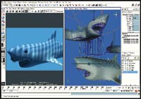 A computer screen showing a 3D modeling software interface with two different views of a shark model.
