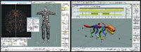 Two software windows displaying 3D anatomical models and digital character rigging tools.
